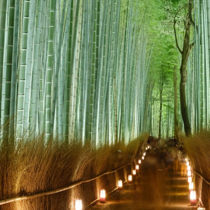 ⛩️ 기노미야 신사 이미지 7